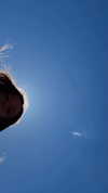 kris_is__peace Altpins Profile Picture