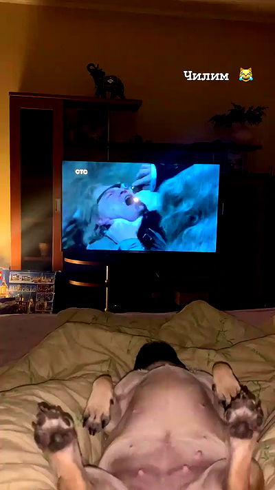 nyityam nyityam archive video