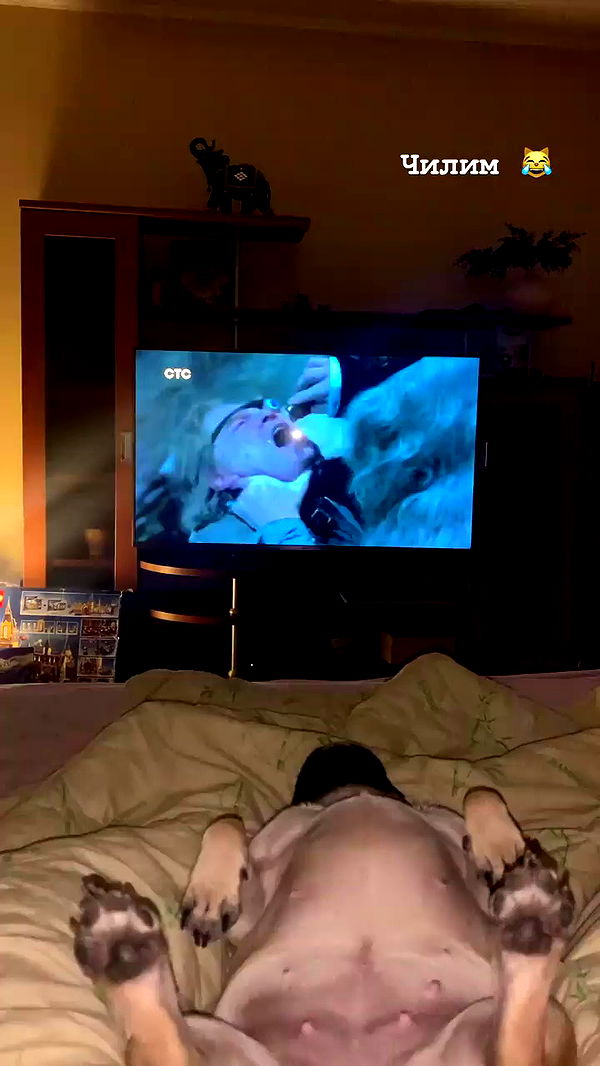 nyityam archive video preview