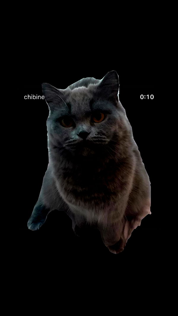 chibinekopurr archive video preview