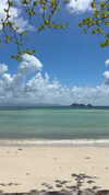 shirakor_ Altpins Profile Picture