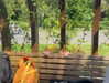 ariana_vomi Altpins Profile Picture