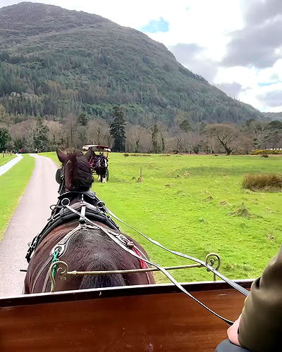 taylor.creeden taylor.creeden archive video