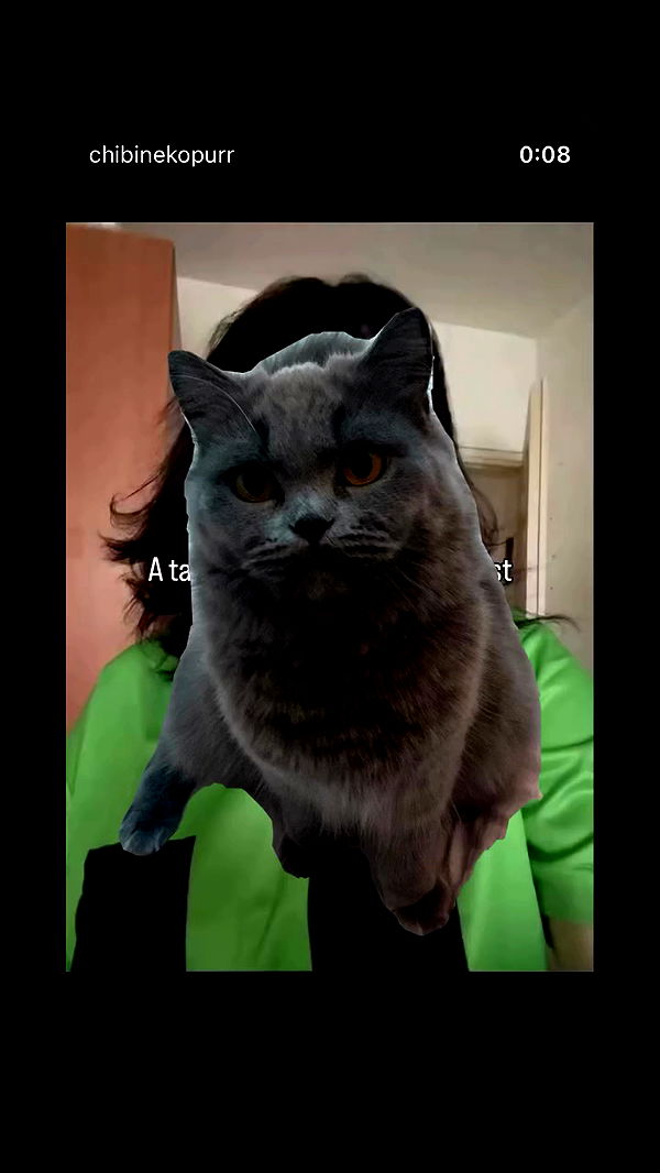 chibinekopurr archive video preview