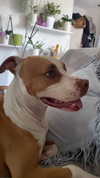 _mashachka_ Altpins Profile Picture