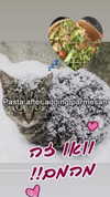 babynympho_archive Altpins Profile Picture