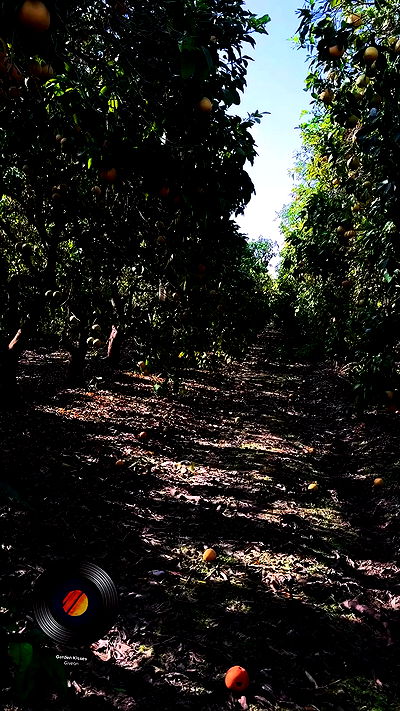 laluzone laluzone archive video