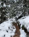 rouxroux.tv Altpins Profile Picture