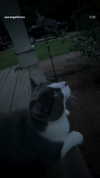 wormfood____ Altpins Profile Picture