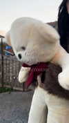 notfleanur Altpins Profile Picture