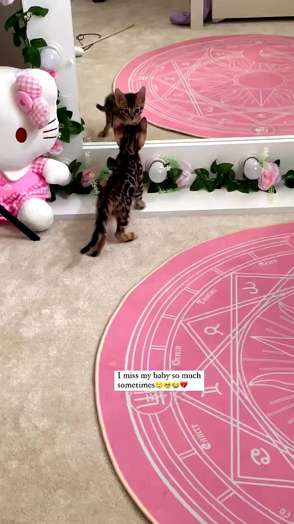 alice_delish archive video preview