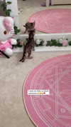 alice_delish Altpins Profile Picture