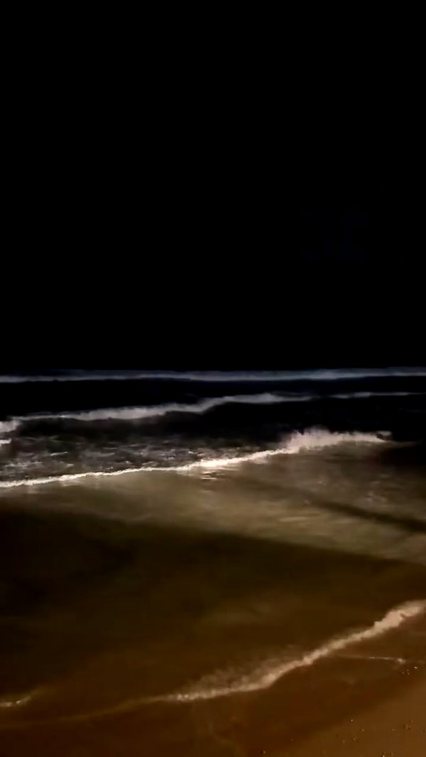 _allvi.pansk archive video preview