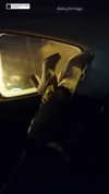 marijana_t__ Altpins Profile Picture