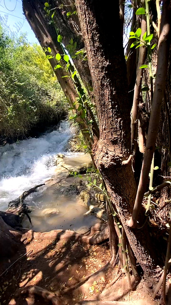 yulia.isakov archive video preview