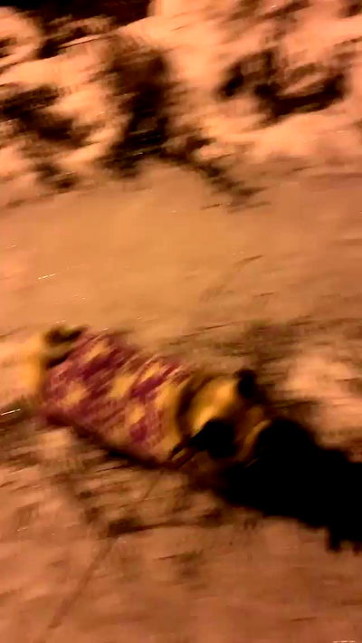 nyityam nyityam archive video