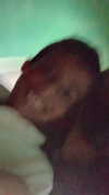 lielsebban Altpins Profile Picture