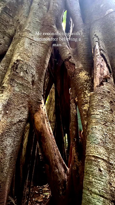 taylor.creeden taylor.creeden archive video