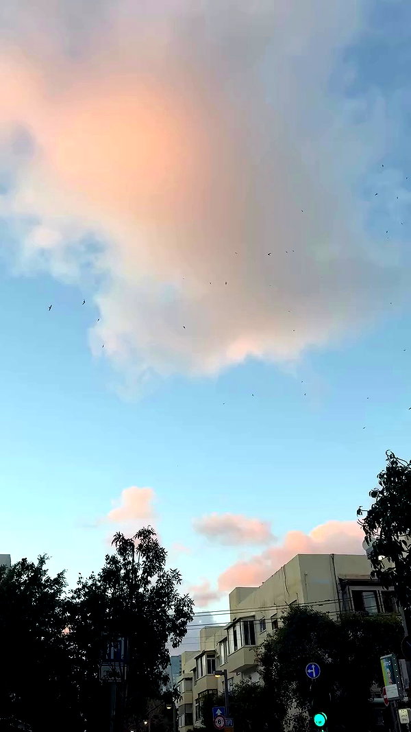 milena_kofef archive video preview