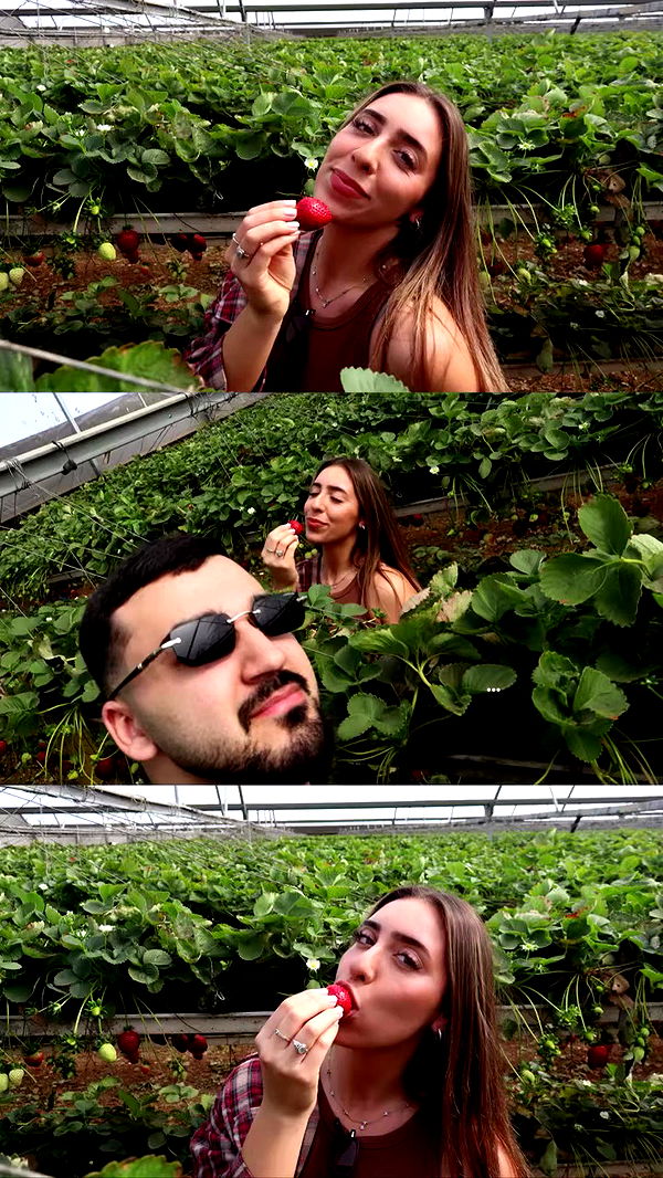 topaz_bn archive video preview