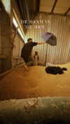 tom_korati Altpins Profile Picture