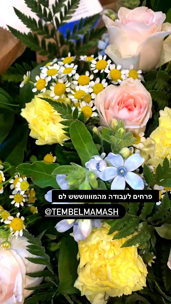 lior_levrun archive video preview
