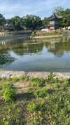 liza_kremer Altpins Profile Picture