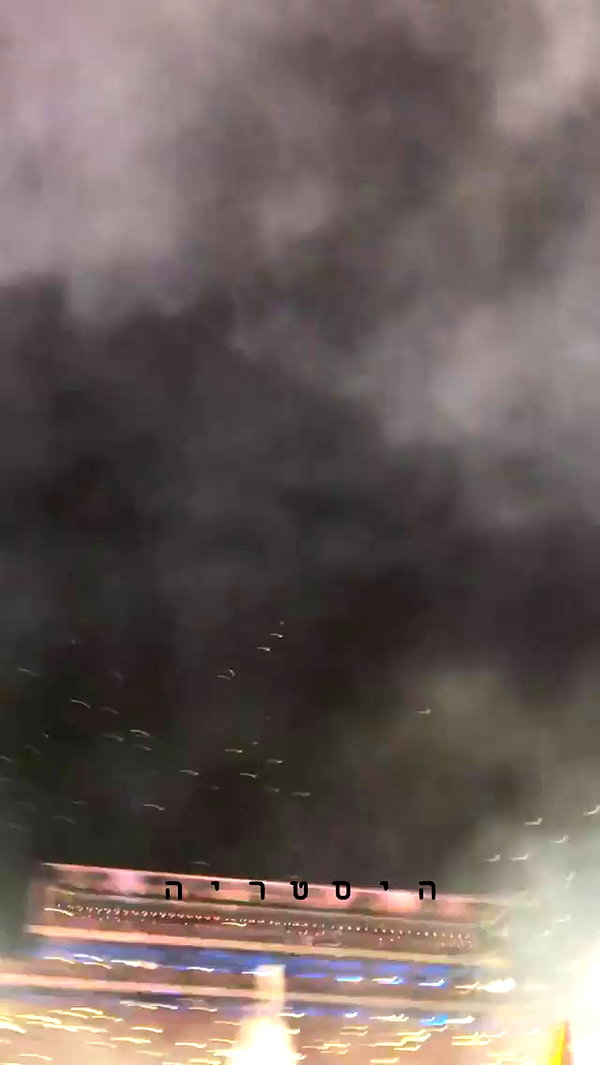michal_cohen017 archive video preview