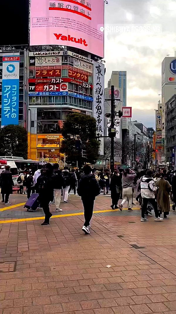hamixx_ archive video preview