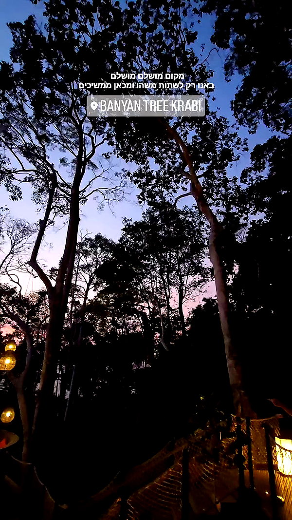 barzomer archive video preview