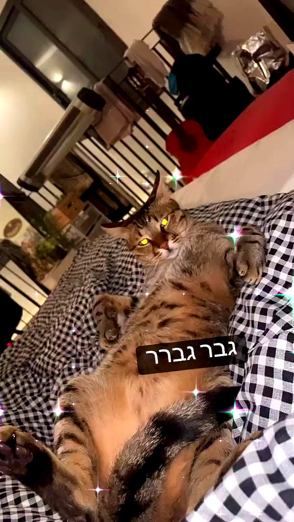 ronyida_ archive video preview