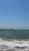 efrat_elmalich Altpins Profile Picture