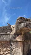 itsilanosh Altpins Profile Picture