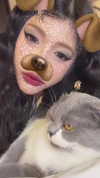 275.cn Altpins Profile Picture