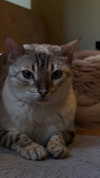 cheycheylikesyou Altpins Profile Picture