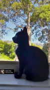 ayliehayward Altpins Profile Picture