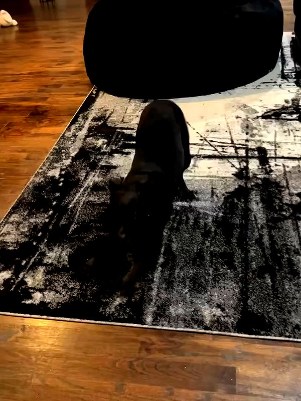 daniellebarnaa archive video preview