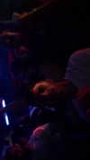 leyla.annemarie Altpins Profile Picture