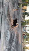 yaarat11 Altpins Profile Picture