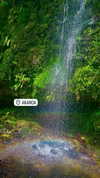 aleiisha.piixiie Altpins Profile Picture