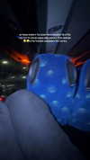 mishel_d_ Altpins Profile Picture