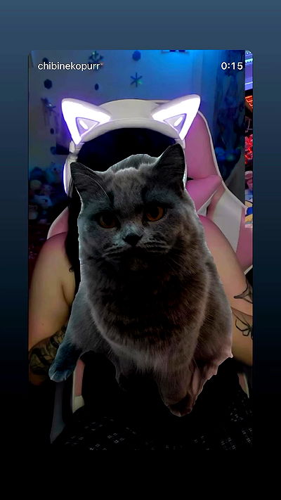 chibinekopurr chibinekopurr archive video