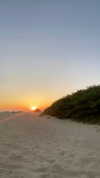 seline_paz Altpins Profile Picture