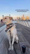 gabbyepstein Altpins Profile Picture