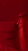 xtina Altpins Profile Picture