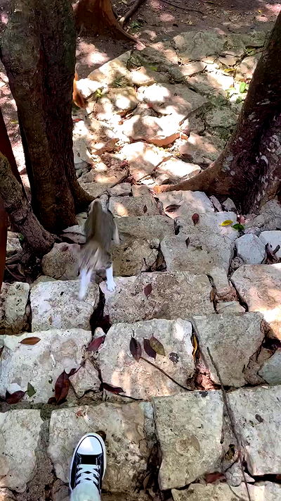 shunli__mei shunli__mei archive video