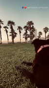 hodaya_glam12 Altpins Profile Picture