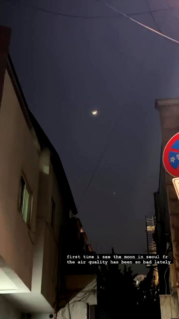 elsgatti archive video preview