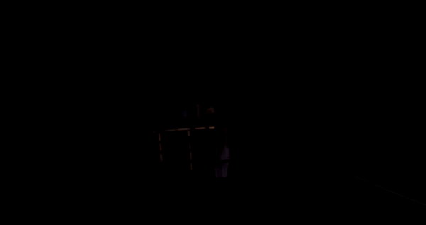 lilbieber archive video preview