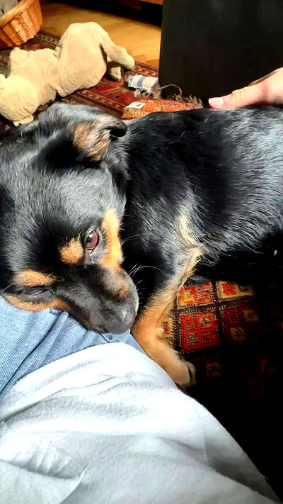 manjolamuriqi manjolamuriqi archive video